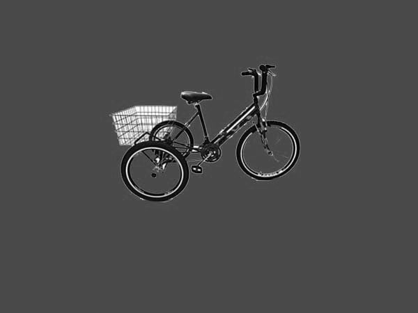 Explore os 8 Melhores Bicicletas Triciclo Para Adultos de 2024